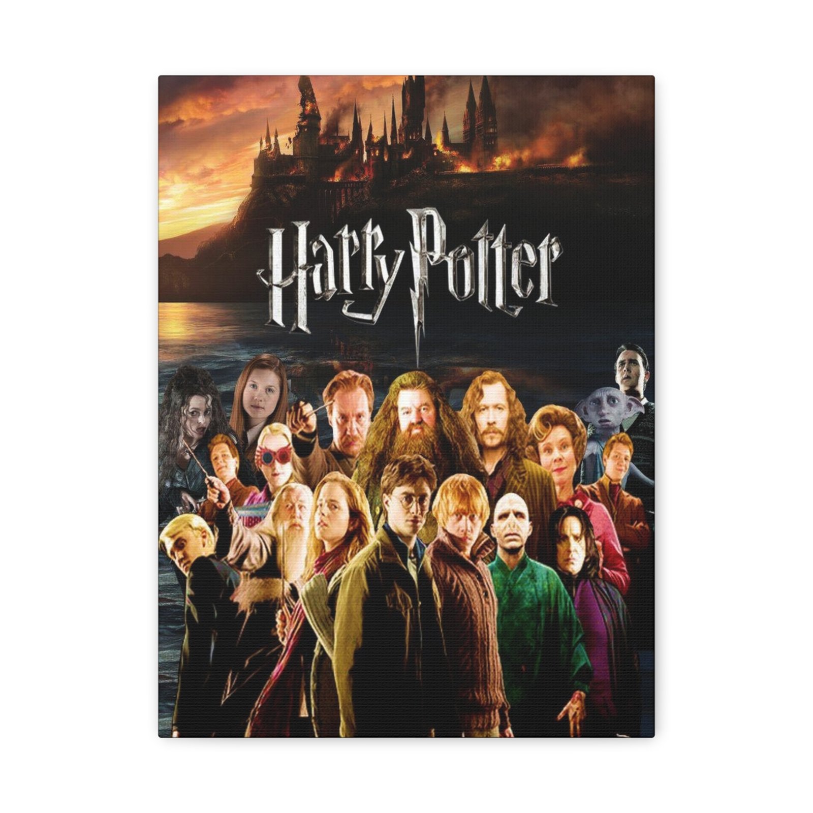 Harry Potter Canvas Art, Magical Home Decor for Fans, Perfect Gift for Birthdays, Holidays, and Collectors, Kids and Adults