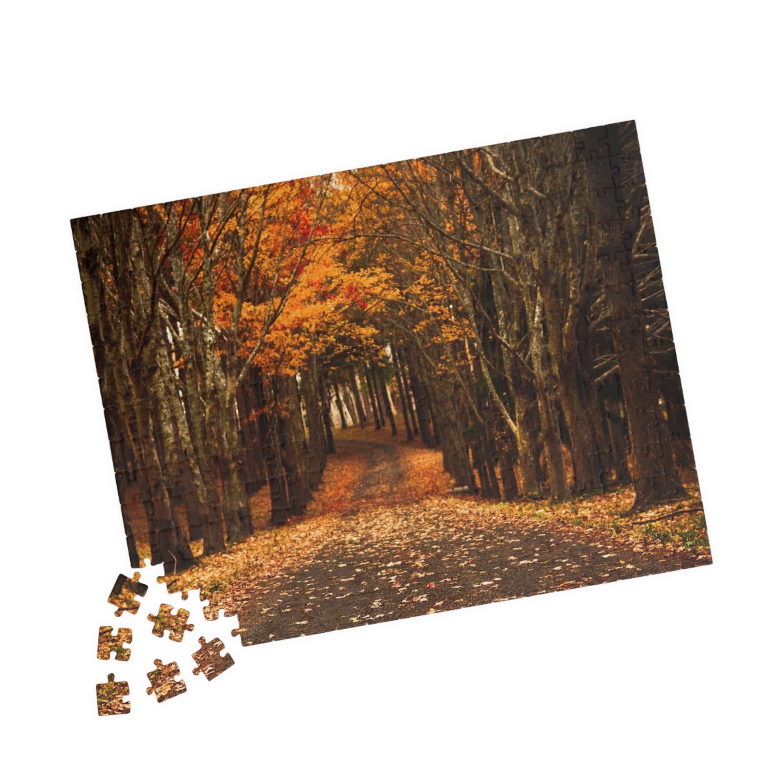 Autumn Path Puzzle, 110-1014 piece jigsaw, Fall décor, Relaxing gift, Family activity, Cozy nights in - Image 3
