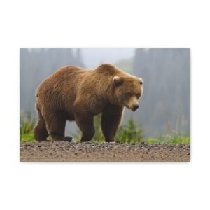 Wildlife Bear Canvas Art Print, Nature Decor, Wall Hanging, Gift for Animal Lovers, Living Room Art