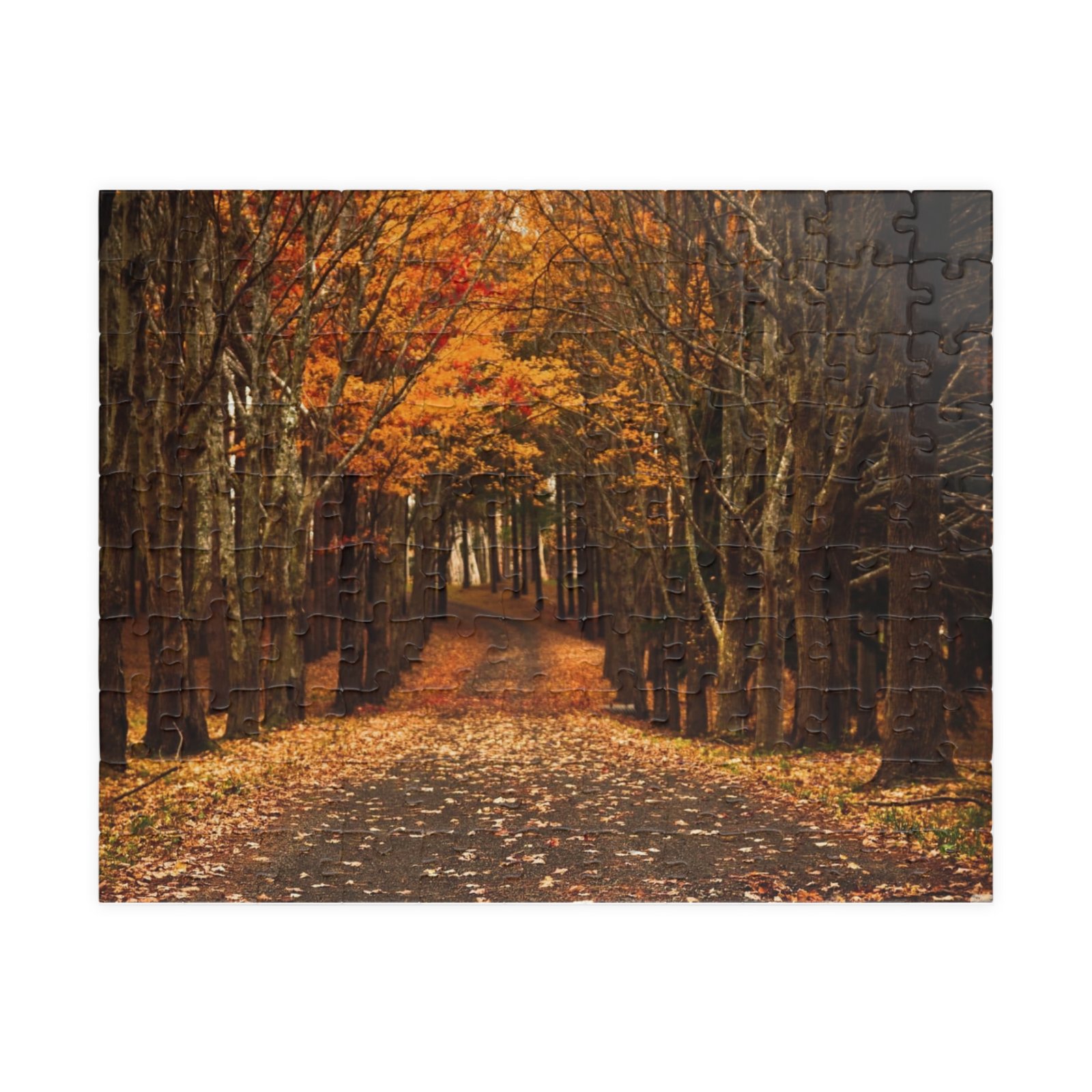 Autumn Path Puzzle, 110-1014 piece jigsaw, Fall décor, Relaxing gift, Family activity, Cozy nights in